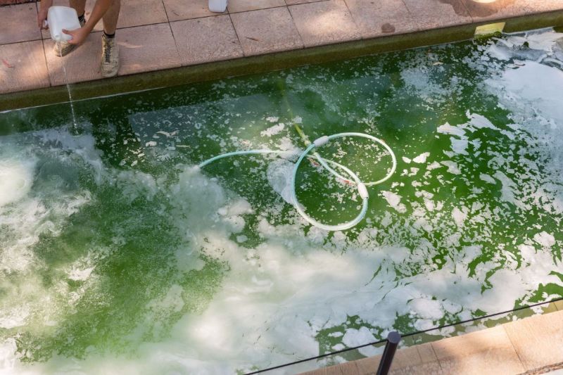 Pool green? here's why